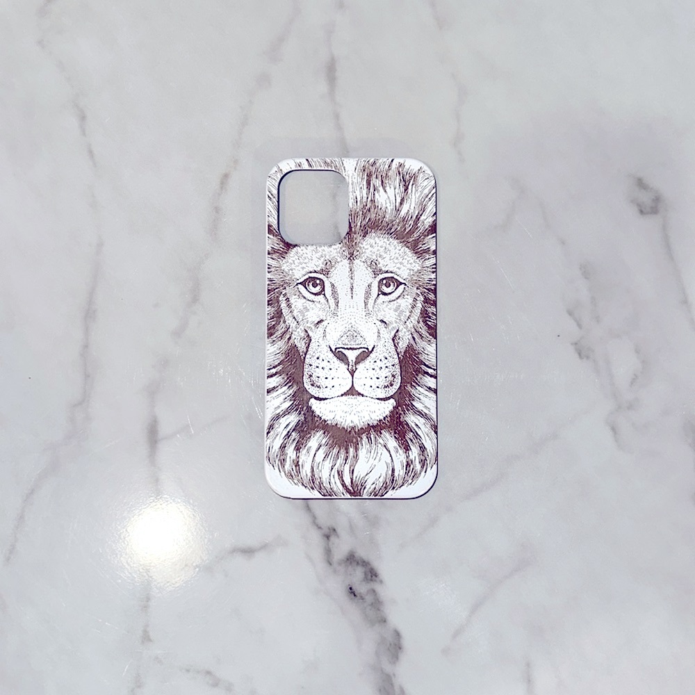 iPhone 12 Pro Max Case